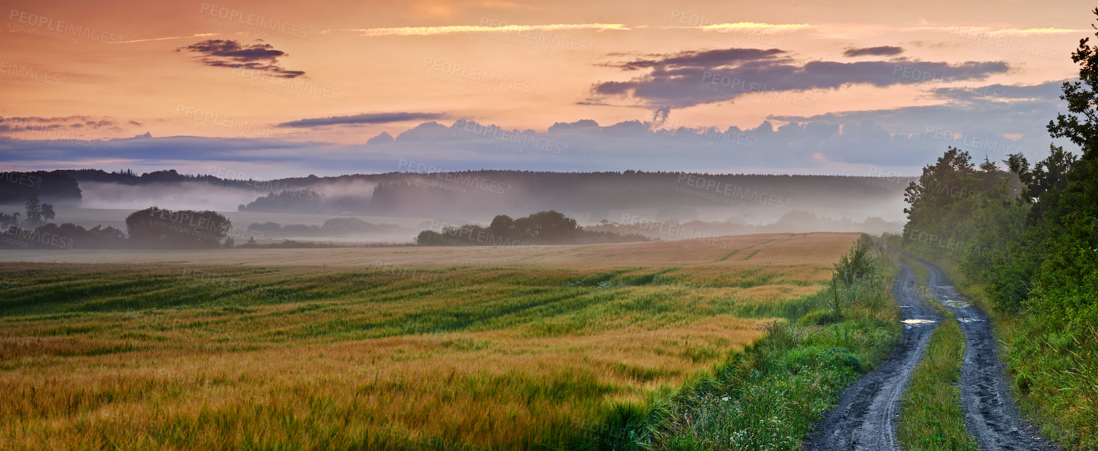 Buy stock photo A field on a farm