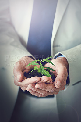 Buy stock photo Entrepreneur, hands and plant for sustainability, future and investment for earth day. Businessperson, soil and closeup for green business, development and recycling for enterprise and nature