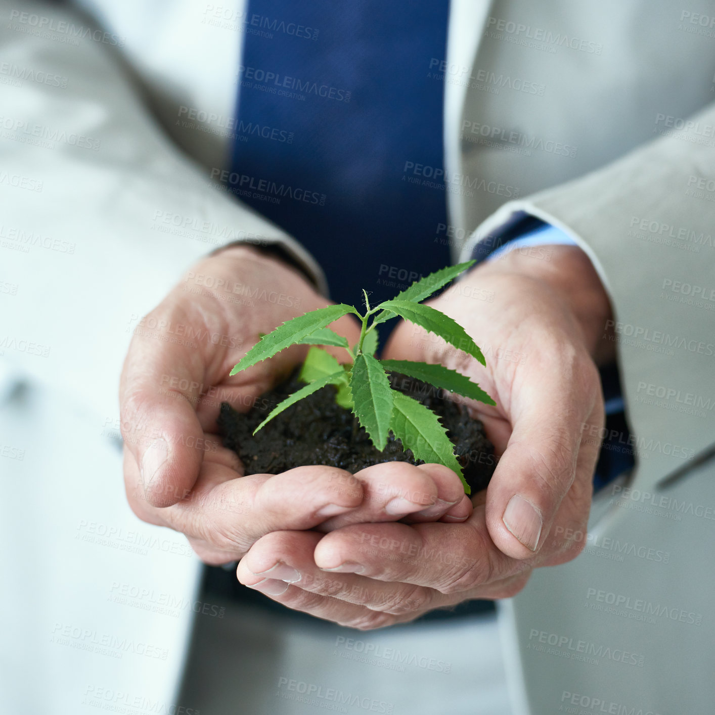 Buy stock photo Cropped shot of a businessman holding a small plant growing in soil