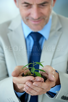 Buy stock photo Plants, business and mature man with startup, finance and growth with accountability and accountant. Person, trader and employee with leaves and soil with sustainability and entrepreneur with nature