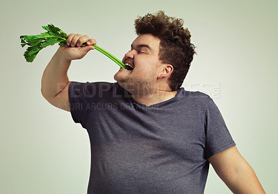 Buy stock photo Diet, plus size and man eating vegetable for health benefit, nutrition and wellness in studio in white background. Weight loss, celery stick and male person for healthy food, wellbeing and detox