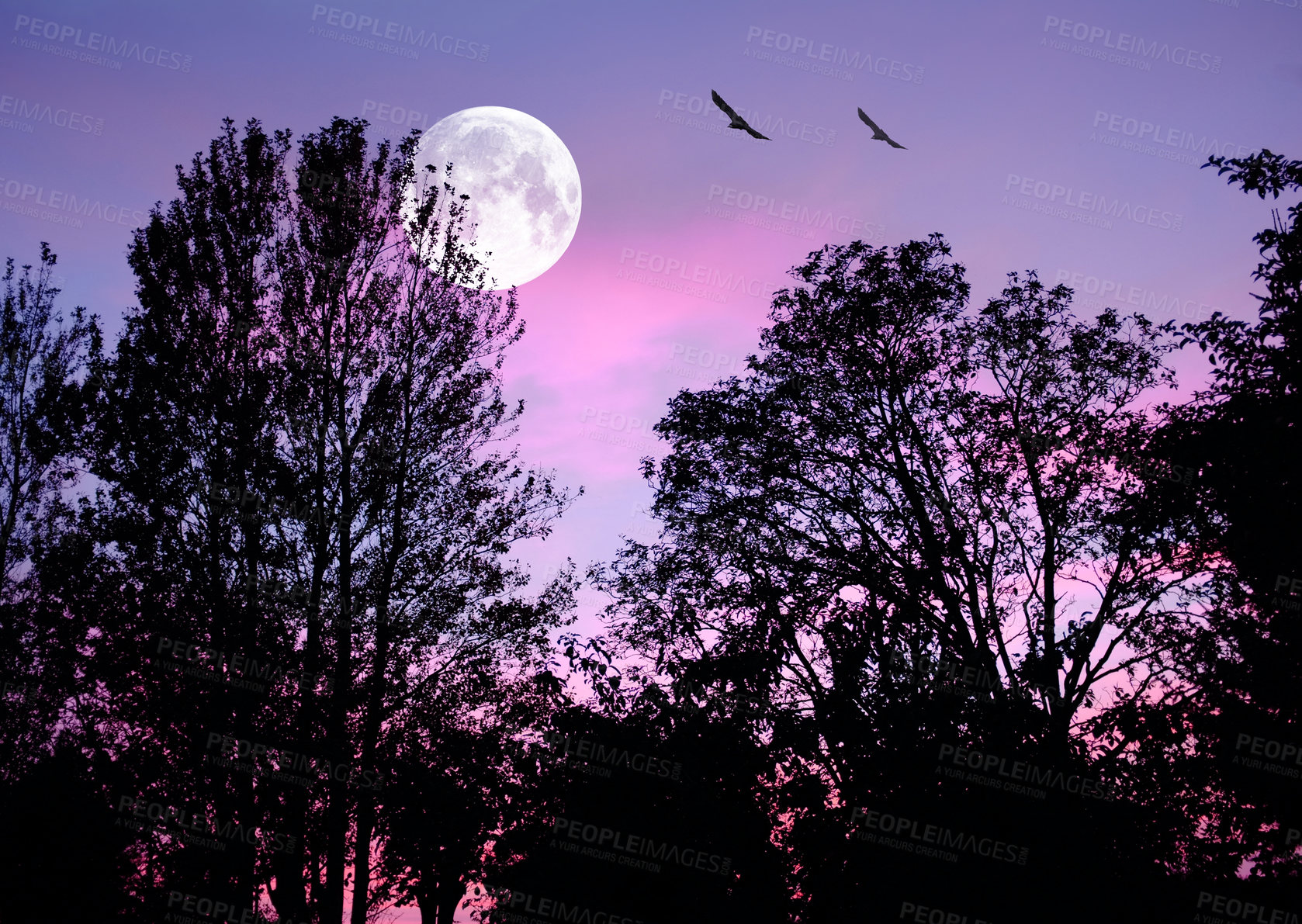 Buy stock photo A photo of the moon after sunset 