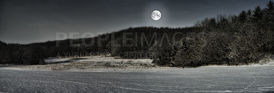 Buy stock photo A mysterious moonlit, secluded field in the dark night. Night time in tranquil, peaceful forest with tall trees and dense bushes, tropical ecological woods on a soothing, calm evening