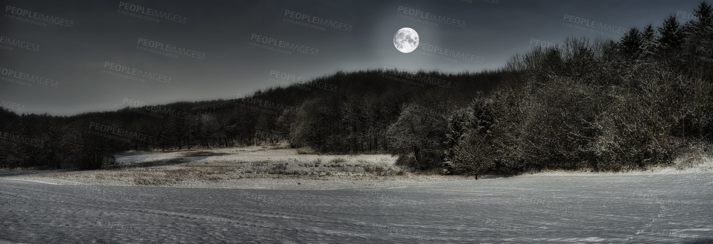 Buy stock photo A mysterious moonlit, secluded field in the dark night. Night time in tranquil, peaceful forest with tall trees and dense bushes, tropical ecological woods on a soothing, calm evening