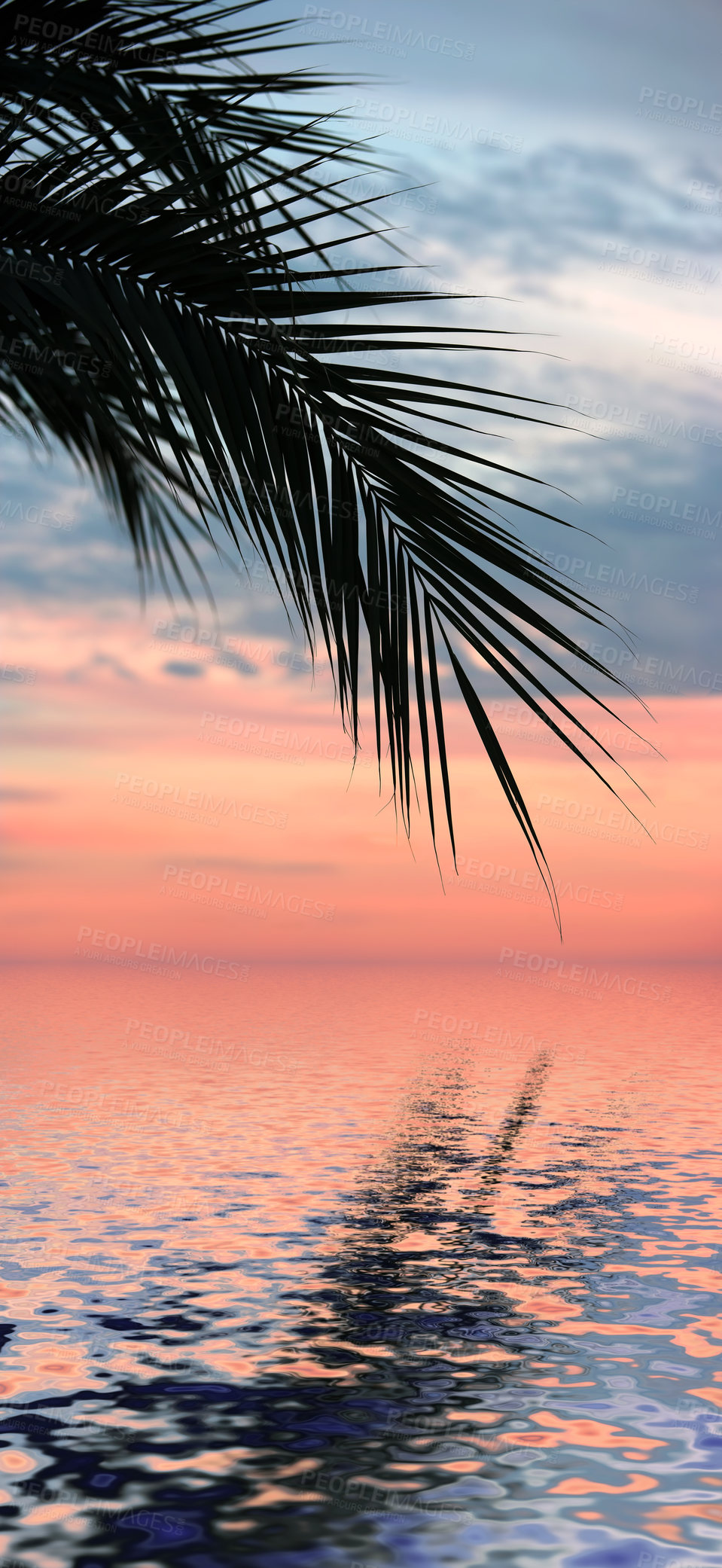 Buy stock photo Sunset, beach and palm tree in natural environment for adventure, travel and tropical destination. Earth, summer and ocean with reflection on island in Bali for holiday and beauty or calm in nature