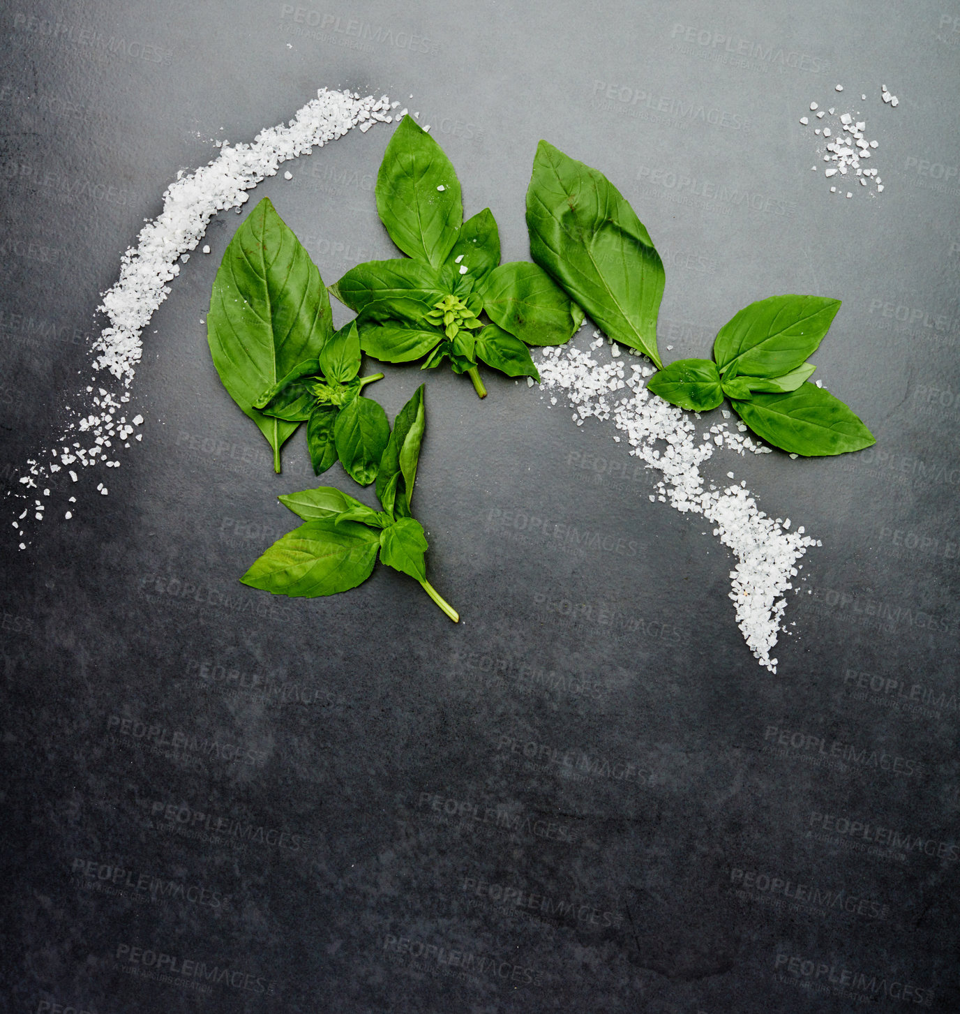 Buy stock photo Top view, herbs and salt isolated on black background for health, wellness and nutrition. Basil, seasoning and layout on dark surface in kitchen for mockup space, plant and green leaves in studio