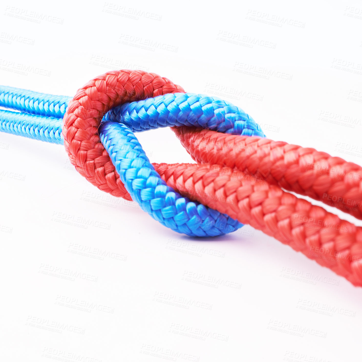 Buy stock photo Rope, connection or loop together in white studio background for teamwork, communication or planning. Cables, link or knot with color for diverse community, business support and creative solidarity 