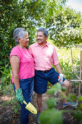 Buy stock photo Shot of a happy senior couple gardening together in their backyard