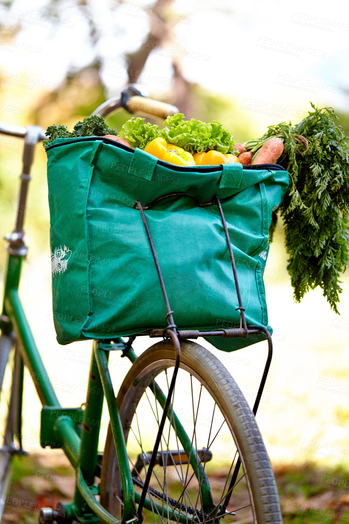 Buy stock photo Cropped shot of a bag of vegatables on a bike