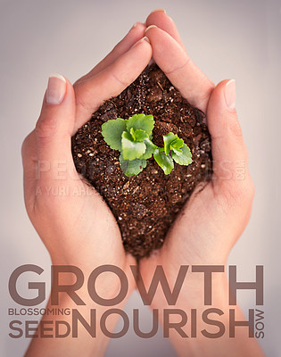 Buy stock photo Hands, plant and growth with words for motivation, blossom and leaves in soil for sustainability. Woman, holding dirt or earth for seedling, accountability or eco friendly mindset for sustainable ngo