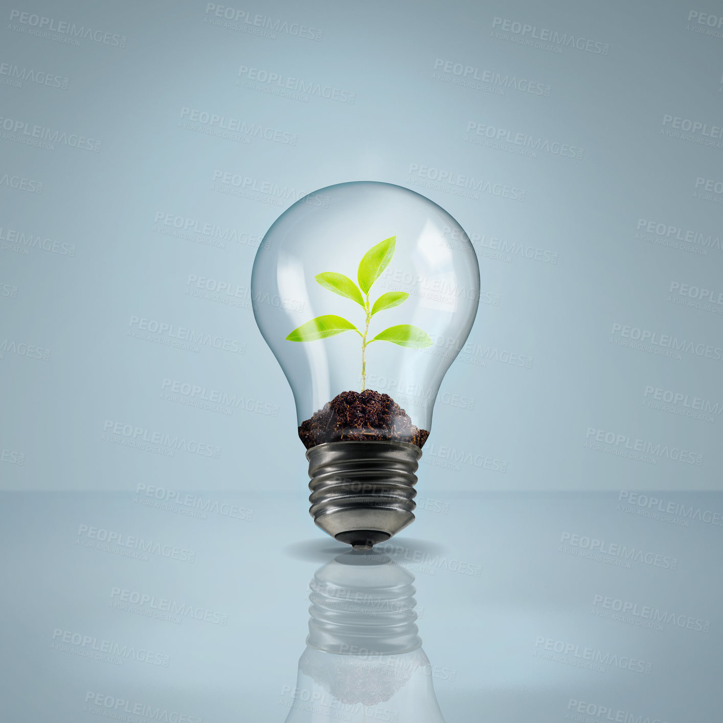 Buy stock photo Environment, plant in lightbulb and saving energy, eco friendly and ecology, renewable resources on studio background. Sustainable development, innovation and electricity with mockup and conservation