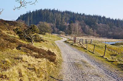 Buy stock photo Dirt road, path or land with forest in countryside for outdoor travel, natural environment or landscape. Sustainability, mysterious meadow or wild plants growing in nature, woods or farm in Denmark