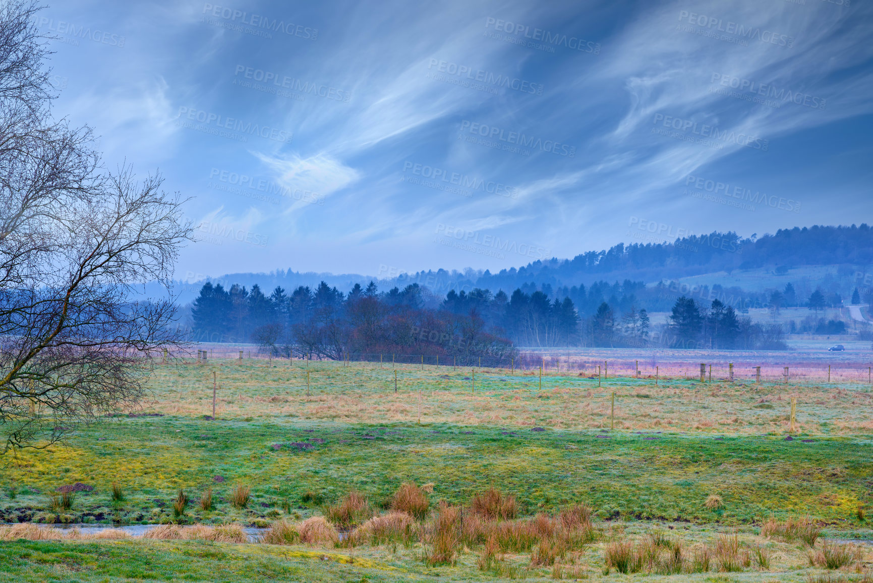 Buy stock photo Morning nature - marsh land. A wet muddy ground too soft to support a heavy body. Rebild National Park, Jutland, Denmark.