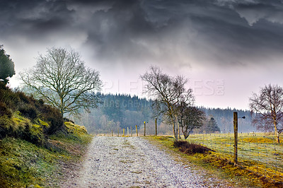 Buy stock photo Dirt road, landscape and nature with view of trees in forest for growth, hiking or sustainability. Earth, ecosystem and environment with path in wilderness or woods for adventure, explore or journey