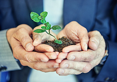 Buy stock photo Hands, business people or team with plant, seedling or together for support, helping hand and trust in office. Men, women and sustainable startup with soil, solidarity and teamwork for development
