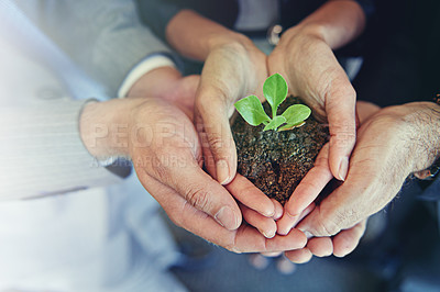Buy stock photo Closeup, hands and group with a plant, business and sustainability for development, economic growth and startup. Zoom, staff and employees with seedling, dirt and hope with entrepreneurship and goal