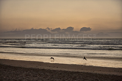 Buy stock photo Shot of an empty beach