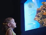 Fascinated by the sea life