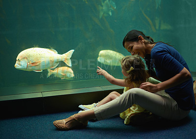 Buy stock photo Mother, aquarium and girl pointing at fish for learning, curiosity or knowledge, nature and bonding together. Mom, fishtank and happy kid watching marine life or animals swim underwater in oceanarium