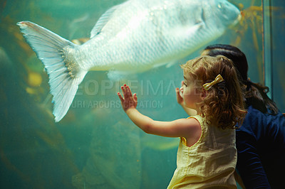 Buy stock photo Mother, aquarium and girl looking at fish for learning, curiosity and knowledge, bonding and nature. Mom, fishtank and kid watching marine life or animals swim underwater in oceanarium on vacation.