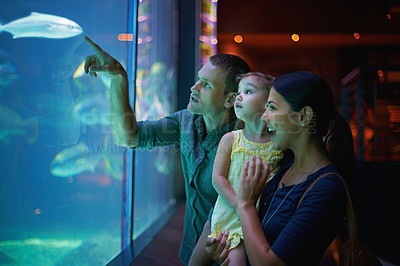Buy stock photo Shot of a family of three on an outing to the aquarium