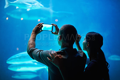 Buy stock photo Shot of a couple taking a picture of the fish in an aquarium