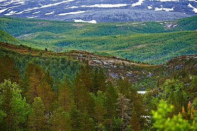 Buy stock photo Landscape, countryside and nature with mountain, forest and green trees in Norway for eco friendly. Environment, earth and woods with grass, moss and plants for travel, ecology and sustainability