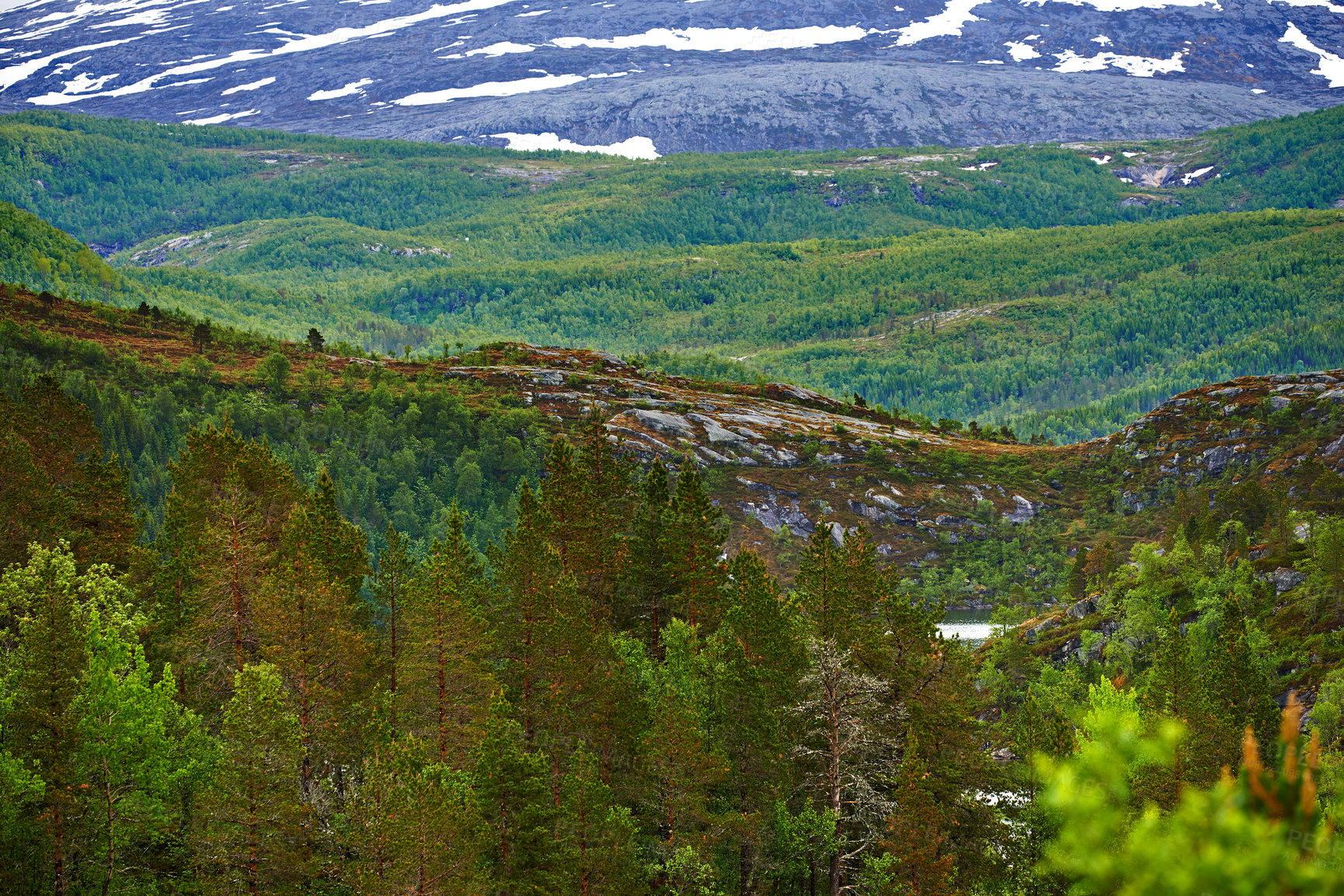 Buy stock photo Landscape, countryside and nature with mountain, forest and green trees in Norway for eco friendly. Environment, earth and woods with grass, moss and plants for travel, ecology and sustainability