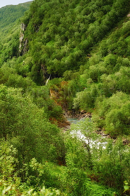 Buy stock photo Landscape, forest and mountain for nature in summer Norway, trees growth and sustainable environment for travel. Green, jungle and ecology with woods, peace and eco friendly of outdoor adventure 