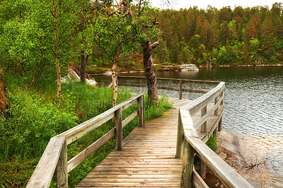 Buy stock photo Wooden bridge beside a lake in a forest. Vibrant green wilderness landscape in Norway. Peaceful fishing spot on a cozy rural river with a wooden walkway. Hiking and exploring in nature trekking