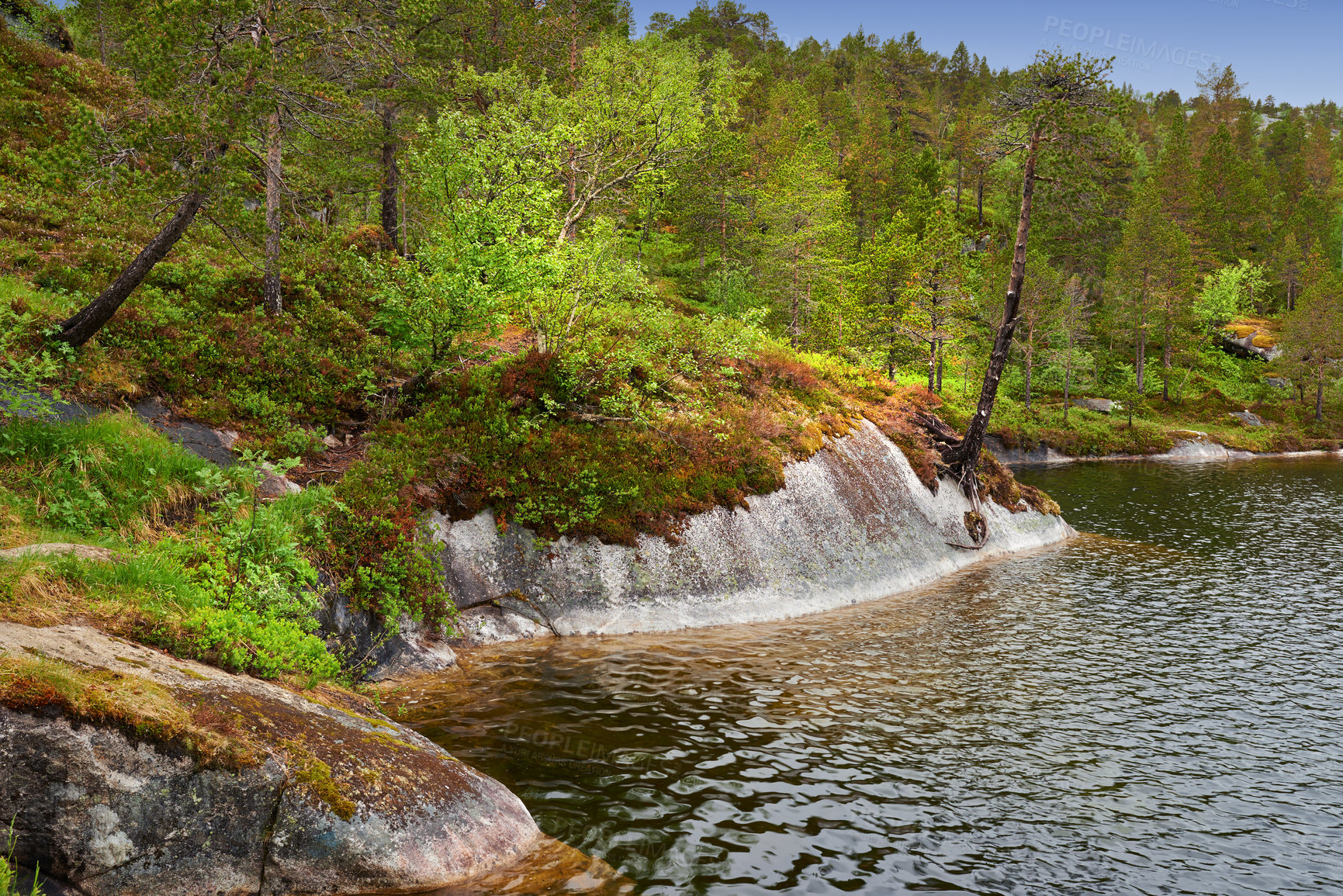 Buy stock photo A lake shore near a Greenwood. A landscape of a hiking destination. A serene hills river and woodlands in spring. Deep and dense rainforest vegetation with pond and beautiful sunlight. Hiking spot.