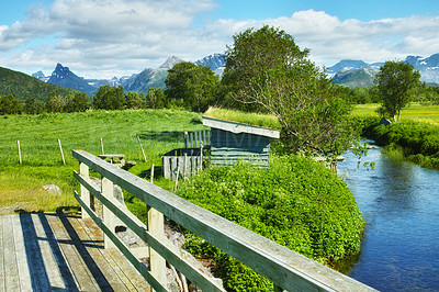 Buy stock photo Landscape, countryside and nature with mountain, lake and green trees in Norway for eco friendly. Environment, earth and water with grass, blue sky and bridge for travel, ecology or sustainability