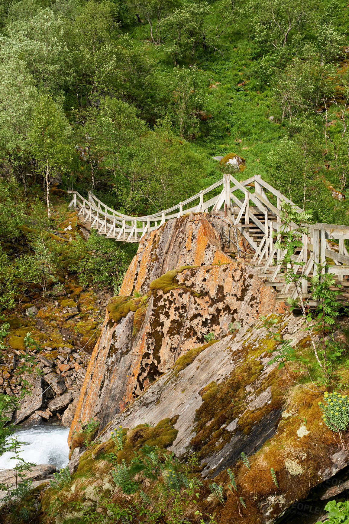 Buy stock photo Forest, mountain and landscape for bridge in summer Norway, nature and sustainable environment for travel. Green, jungle and ecology with pathway, peace and eco friendly of outdoor adventure 