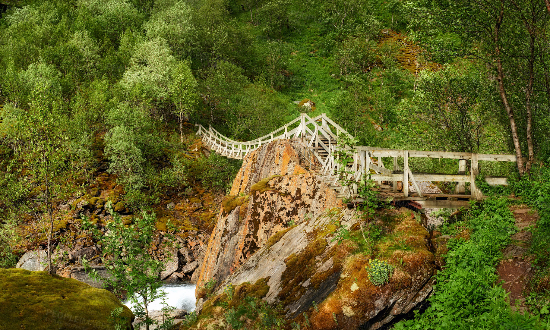 Buy stock photo Mountain, landscape and bridge in forest for nature in Norway, wood structure and sustainable environment for travel. Green, jungle and ecology with pathway, peace and eco friendly outdoor adventure 