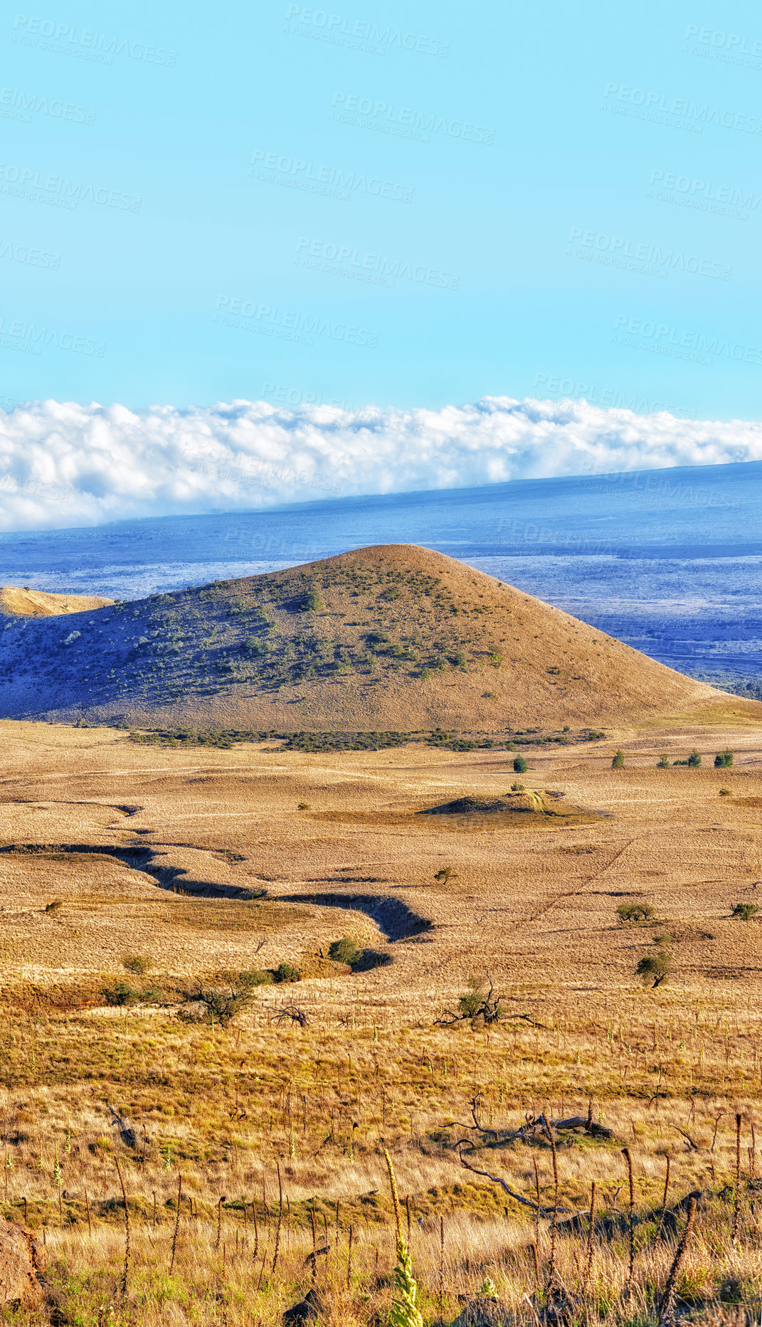 Buy stock photo Volcano landscape, field and blue sky with clouds in countryside for vacation travel and vire. Natural environment, wilderness and hill with grass for ecology, geography and Mauna Loa in Hawaii