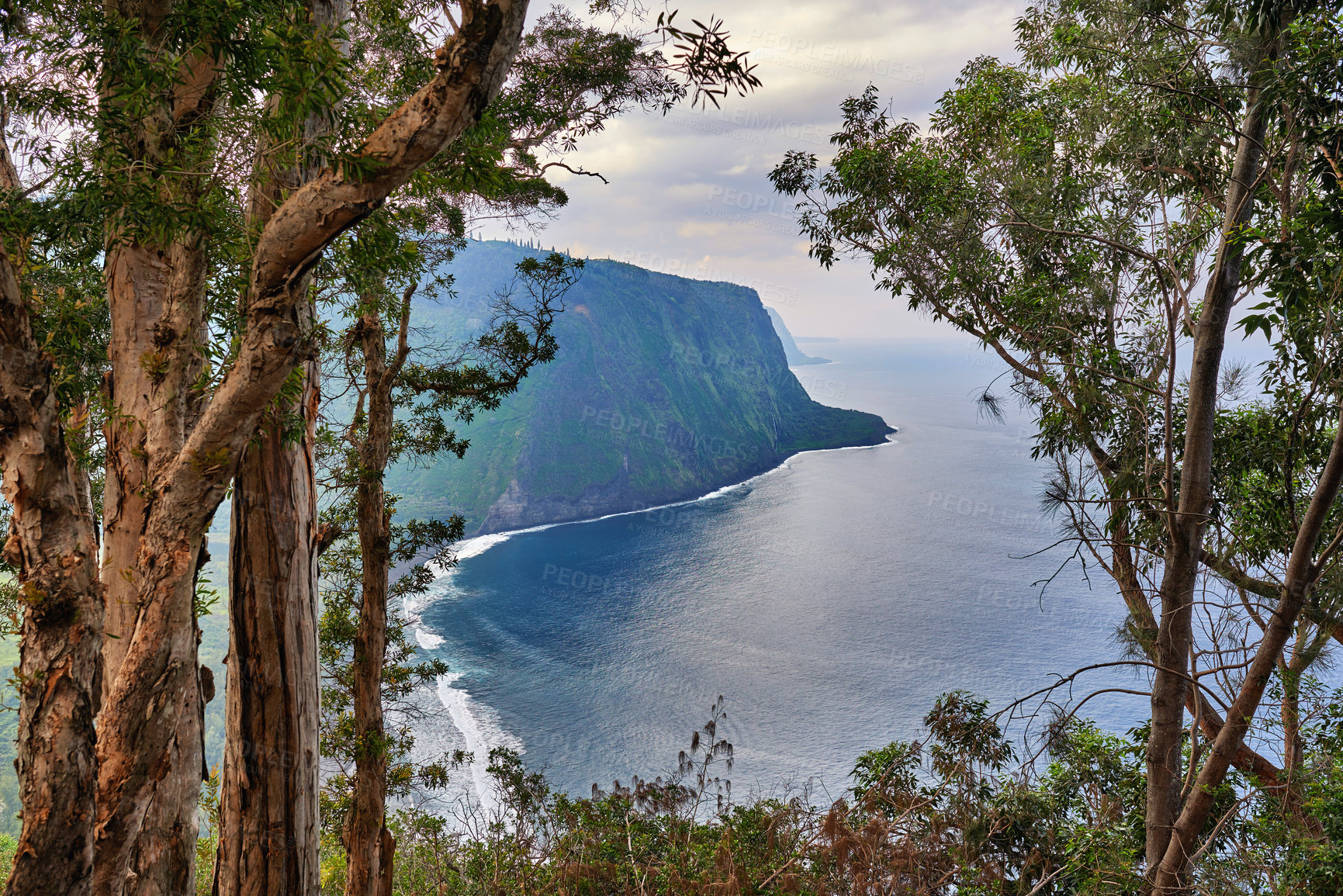 Buy stock photo Cliff, nature or seascape with mountain for wallpaper, environment or vacation in Hawaii. Landscape, trees and ocean view in perspective for ecology, tropical holiday and travel destination to valley