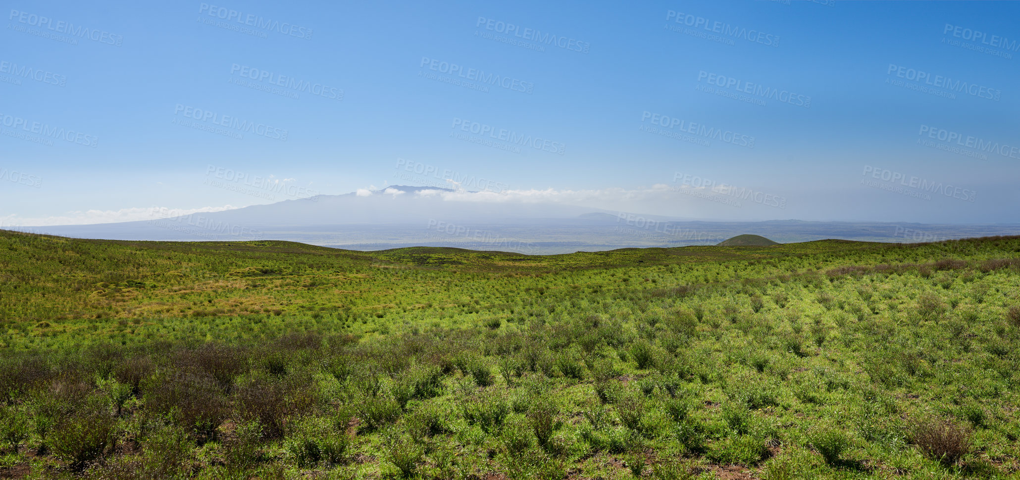 Buy stock photo Nature, grass or field outdoor with clouds on tropical island with mockup space on blue sky in Hawaii. Plants, landscape or horizon in summer countryside with mountain for travel, vacation or ecology