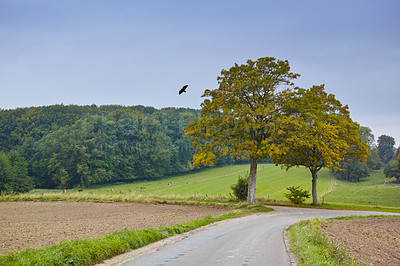 Buy stock photo Road, outdoor and travel in countryside, field and Scotland with highway, nature and view for tourism. Holiday, trip and route in landscape or farm as wallpaper, background or texture for adventure