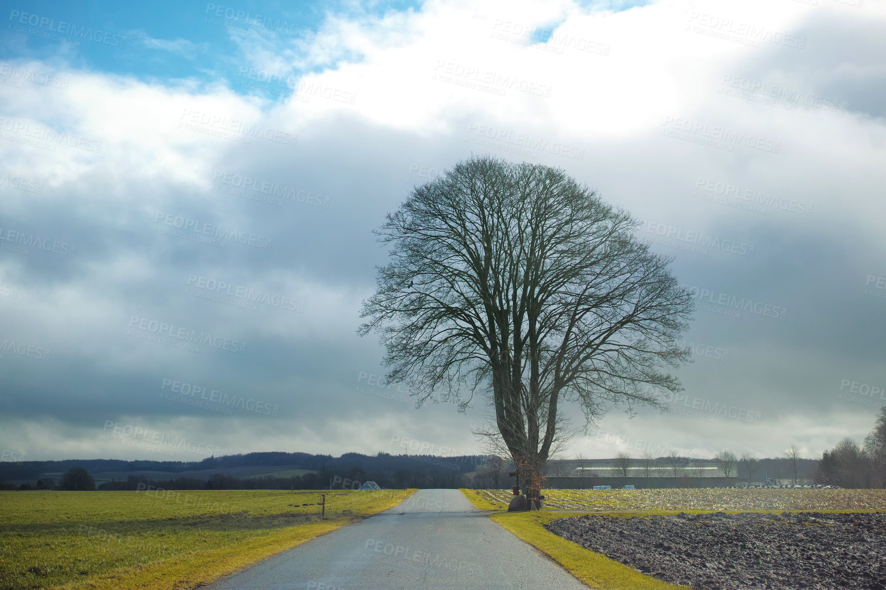 Buy stock photo Travel, tree and sky with road in countryside for sunset, environment or destination. Empty, nature and field with outdoor for sustainability, vacation journey or adventure landscape in Switzerland