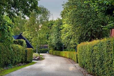 Buy stock photo Road, village and pathway to travel, outdoor and peace in environment, location and scenery of trip. Denmark, countryside and destination for journey in morning and trees in nature on street