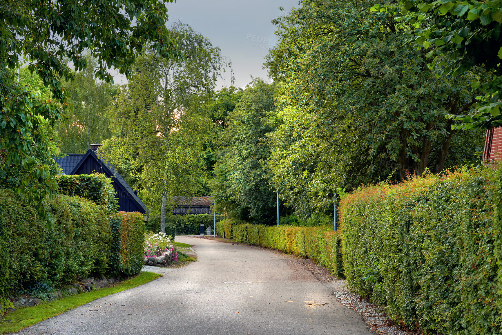 Buy stock photo Road, village and pathway to travel, outdoor and peace in environment, location and scenery of trip. Denmark, countryside and destination for journey in morning and trees in nature on street