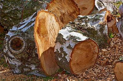 Buy stock photo Winter is coming - firewood to burn