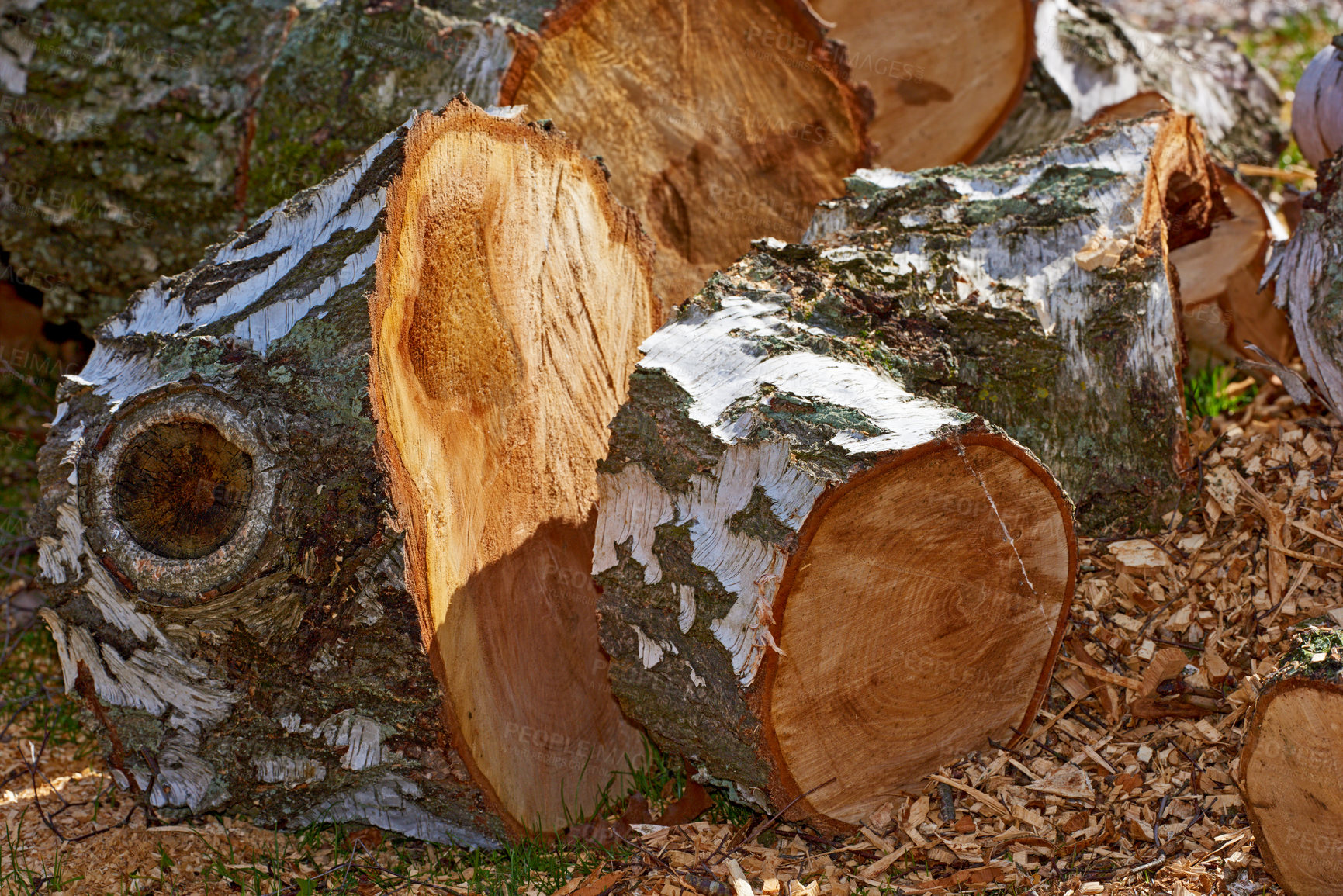 Buy stock photo Winter is coming - firewood to burn