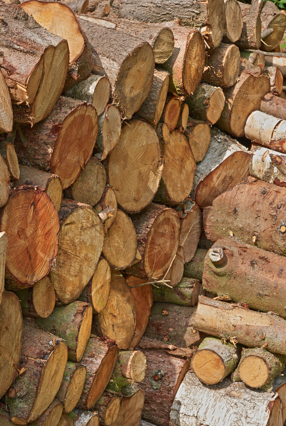 Buy stock photo Wooden Logs - firewood ready to burn