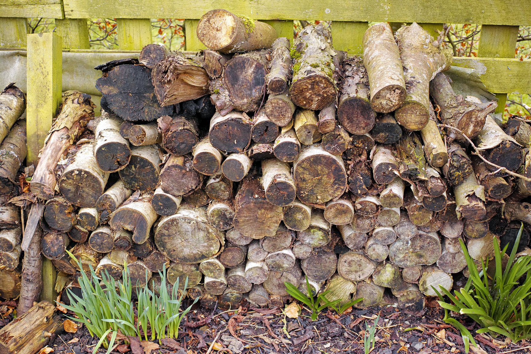 Buy stock photo Wooden Logs - firewood ready to burn