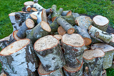 Buy stock photo Wood, stump and pile of timber in forest for fuel, heat and natural material with storage. Stack, tree trunk and carpentry supplier in environment for pattern, lumber and texture for sustainability