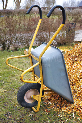 Buy stock photo Wheelbarrow, lumber and outdoor in nature for wood, chips or cleaning in garden for winter. Cart, equipment and logging with natural material for fuel, heat or recycling for mulch production on grass