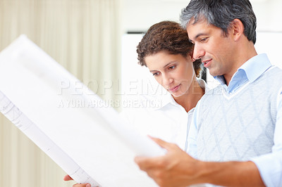 Buy stock photo Portrait of business man and woman going through blueprint