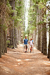 Couple walking in the woods with hiking poles