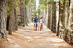 Couple hiking in woods